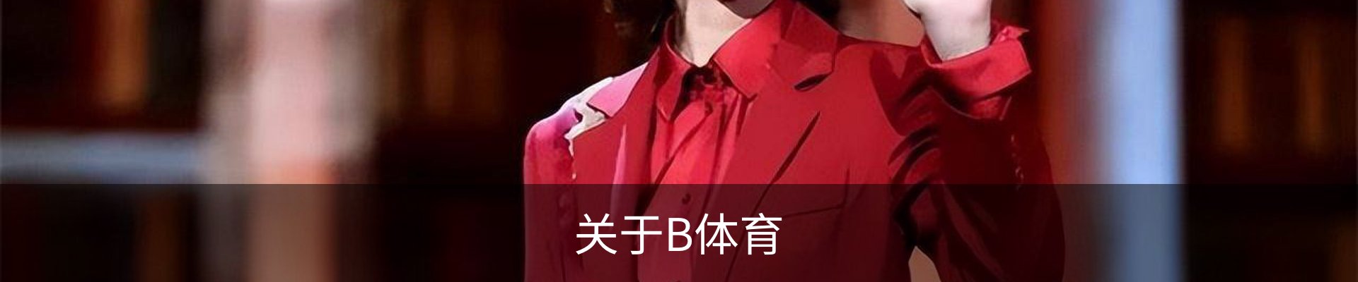 关于B体育